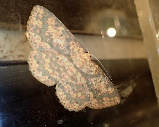 c0369423_16483110.jpg