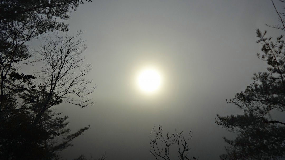 年に一度は雲海を見ようと・・・・_f0211225_10374321.jpg