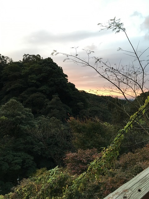 e0303726_16425446.jpg
