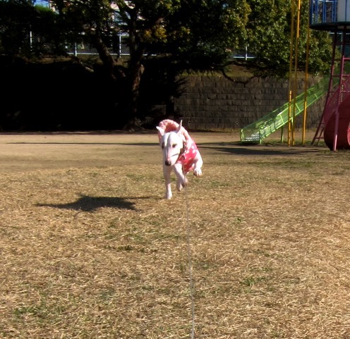 c0192330_01410271.jpg