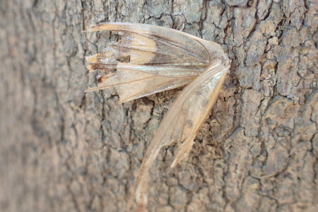 c0353632_23500462.jpg