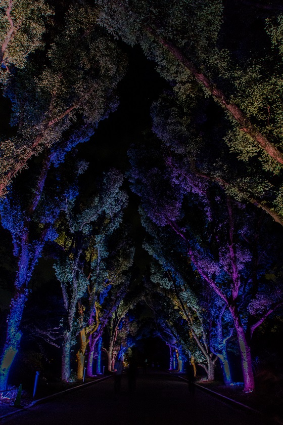 e0363038_9382152.jpg