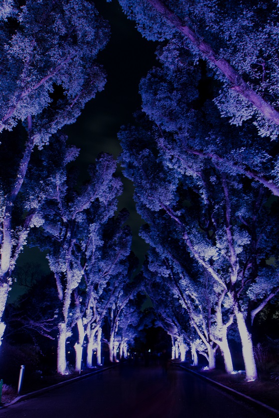 e0363038_9383936.jpg