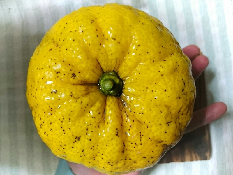 f0378646_18103825.jpg