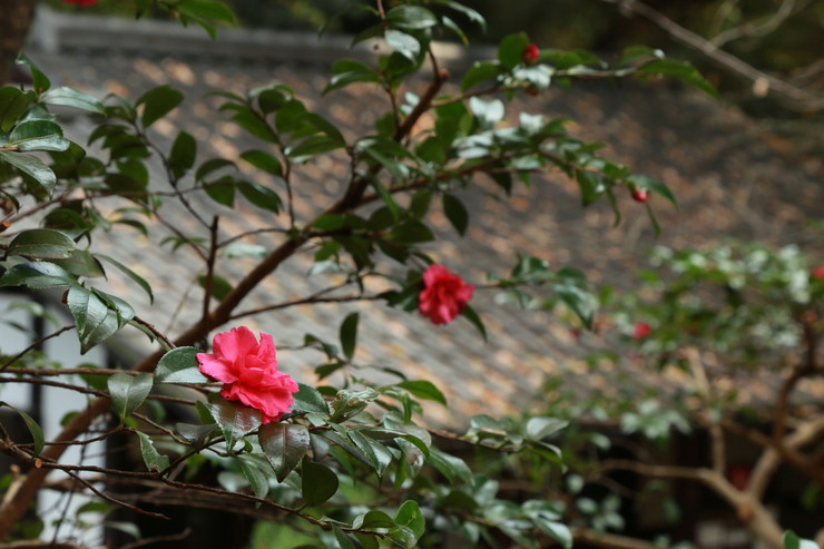 a0120949_8473930.jpg