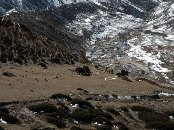 e0341849_10513329.jpg