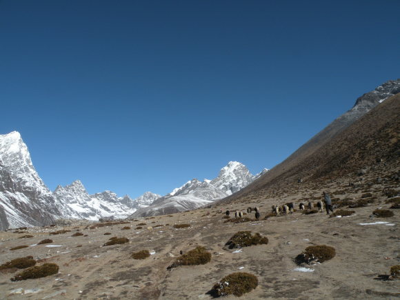 e0341849_10530080.jpg