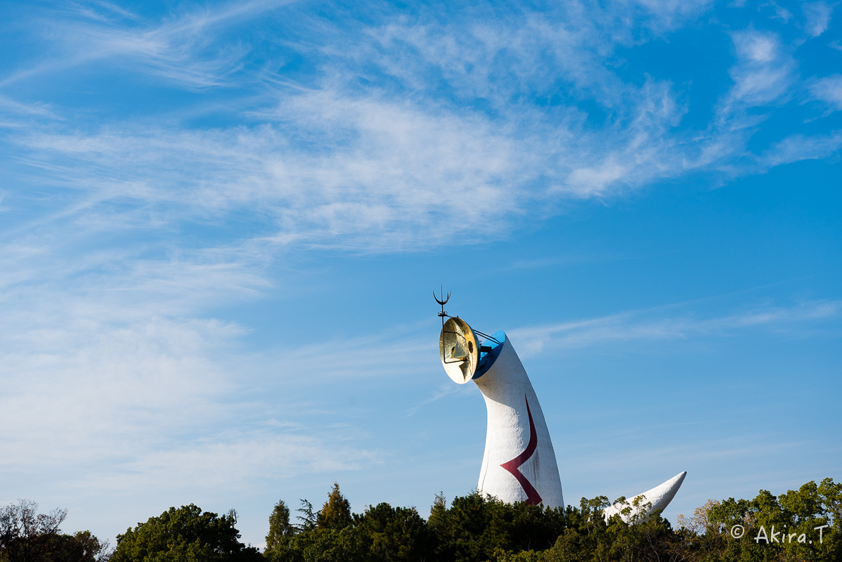 太陽の塔..._f0152550_21512718.jpg