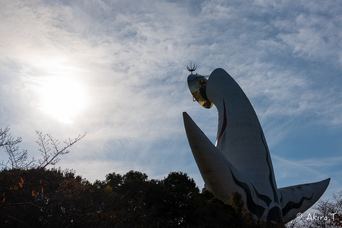 太陽の塔..._f0152550_21515449.jpg