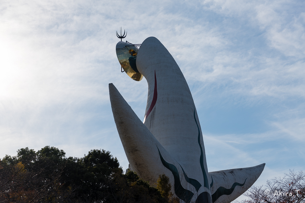 太陽の塔..._f0152550_21520662.jpg