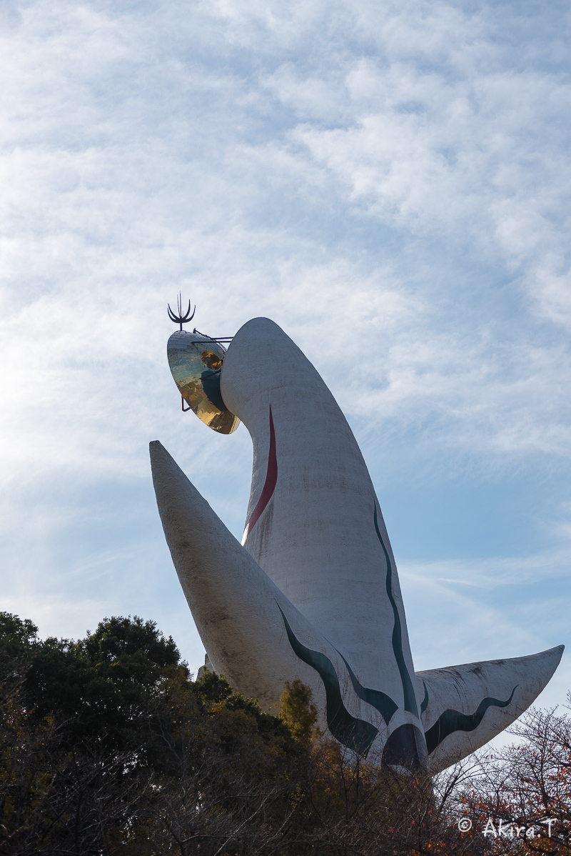 太陽の塔..._f0152550_21522275.jpg