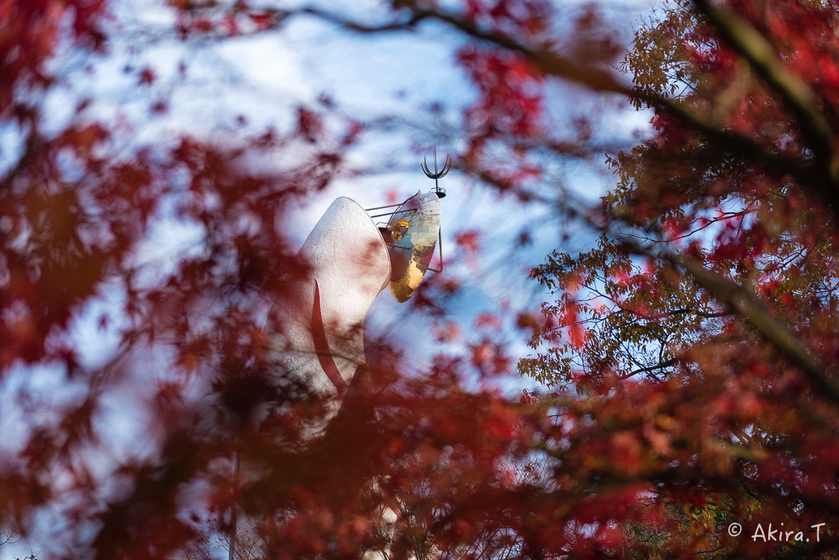 太陽の塔..._f0152550_21562467.jpg