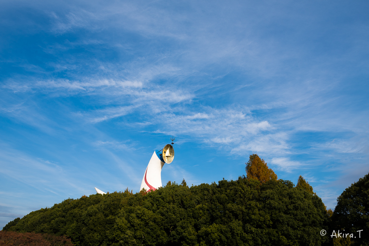 太陽の塔..._f0152550_21583609.jpg