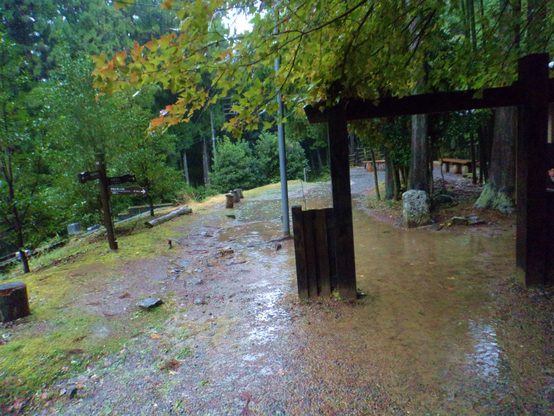 果無峠越え・・熊野古道（小辺路）最終回_b0234354_10455799.jpg