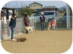 「わんちゃんと遊ぼう。」_e0364854_16550747.jpg