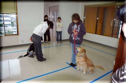GCT本格レッスン開始!_e0364854_16551037.jpg
