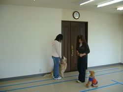 ジャッジメント_e0364854_16551620.jpg