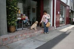 社(都)会化_e0364854_16552413.jpg