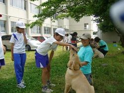 小学校で…_e0364854_16553668.jpg