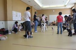 ゲーム大会_e0364854_16555169.jpg