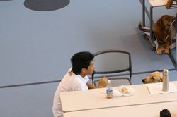GCTプレテスト_e0364854_16555779.jpg
