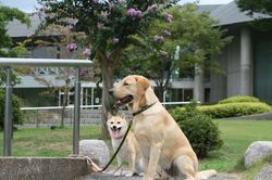 平凡な日_e0364854_16555834.jpg