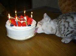 まめっち誕生日_e0364854_16572842.jpg