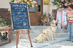 同じ過ちは…_e0364854_16580333.jpg