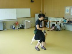 教室参加のワンコ達(6月22日ぱーとツゥー)_e0364854_16592606.jpg