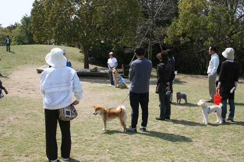 ワンコホテル『そらちゃん、りくちゃん』＆三木山森林公園一日しつけ方教室_e0364854_17040497.jpg