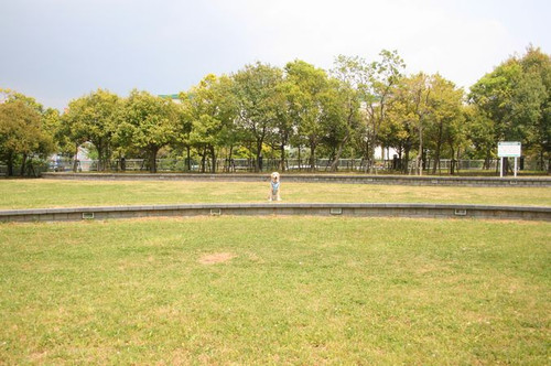 神戸松蔭女子学院大学心理の仕事_e0364854_17152921.jpg