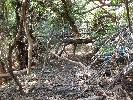 f0302771_1436495.jpg