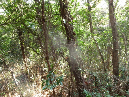 f0302771_14385632.jpg