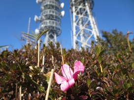 f0302771_15381811.jpg