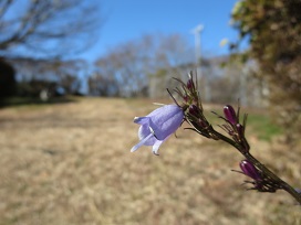 f0302771_15385424.jpg