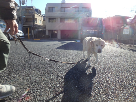 今朝、母さんは札幌へ発った_f0052277_1275269.jpg