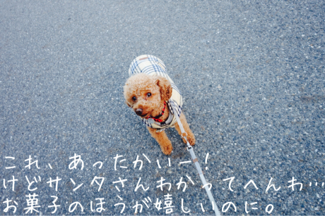 クリスマスプレゼント 犬のための家でのんびり田舎暮らし