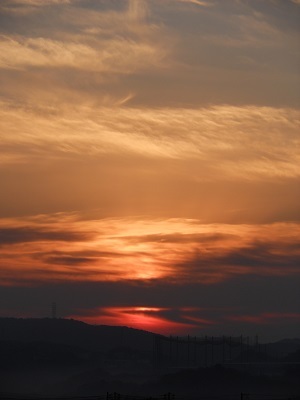 f0372998_20514388.jpg