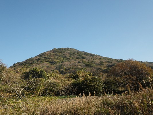f0187402_20342442.jpg