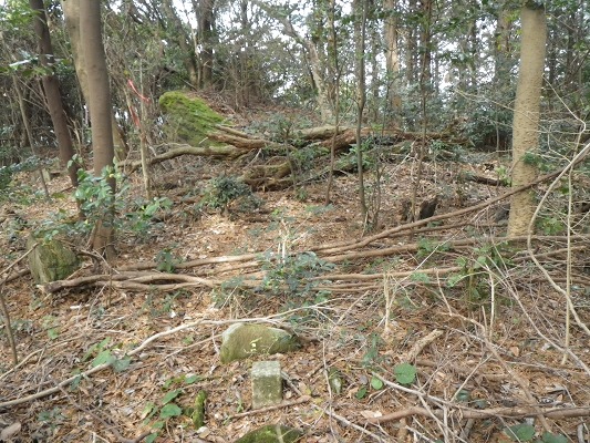 f0187402_20354375.jpg