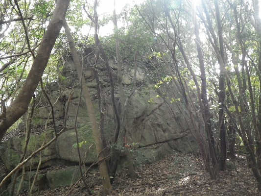 f0187402_20355218.jpg