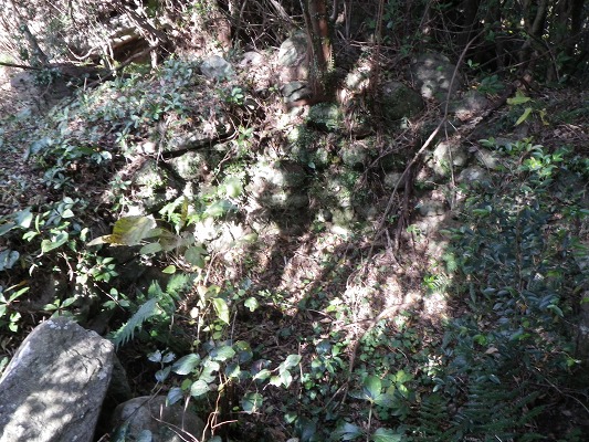 f0187402_2035719.jpg