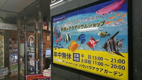 金魚コーナーが増えてる…_b0298605_00090881.jpg