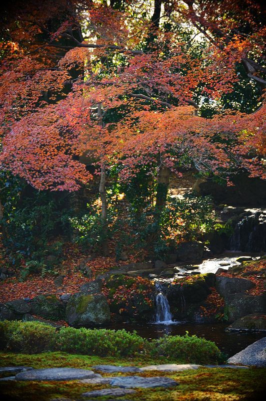 旧三井家下鴨別邸 其の二_f0032011_21362101.jpg