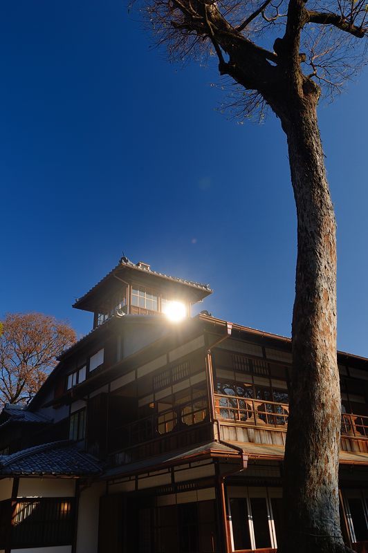 旧三井家下鴨別邸 其の二_f0032011_21362240.jpg