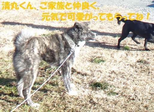 f0121712_14210371.jpg