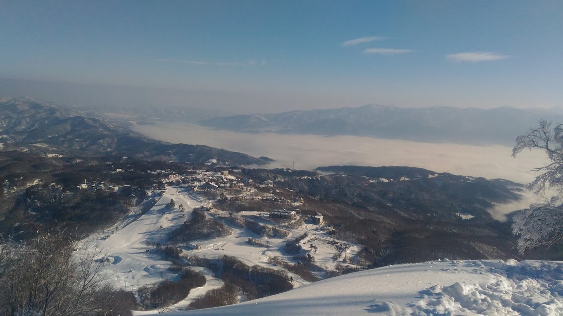 f0229217_7424412.jpg