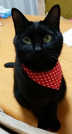 c0280322_20175222.jpg