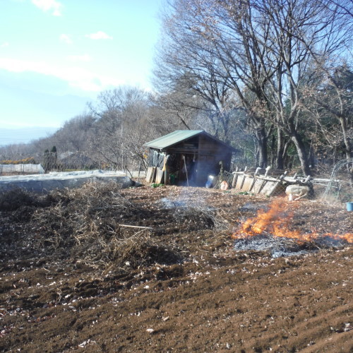c0310322_19024365.jpg