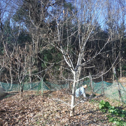 c0310322_19043955.jpg